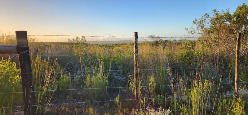 0 Bedroom Property for Sale in Albertinia Western Cape